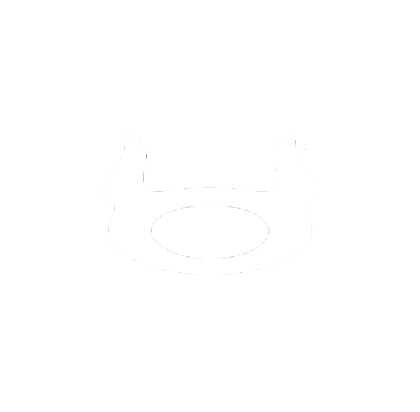 Blackhooters logo