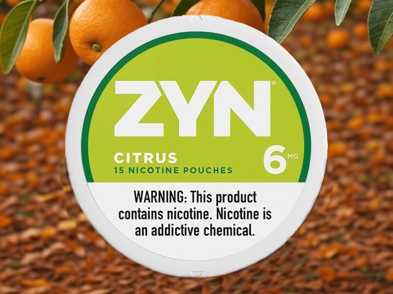 ZYN CITRUS BLACKHOOTERS
